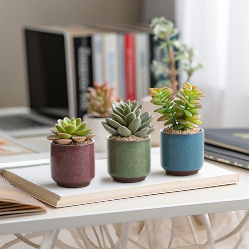 T4U Mini Succulent Pots, Small Ceramic Planters, Retro Gift Set of 6 - size: 2.4"*2.4"