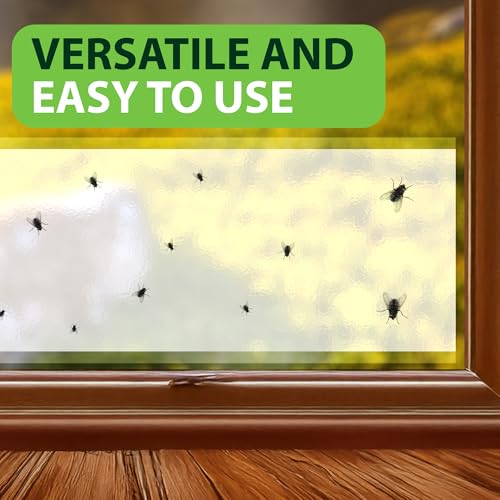Greenway Window Fly Traps, 3 Packs (Includes 12 Traps) - size: 3 Packs (Includes 12 Traps)