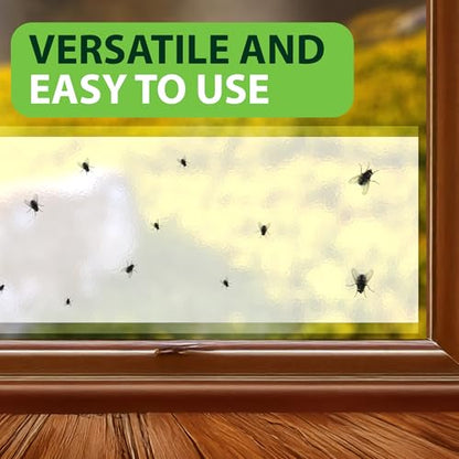 Greenway Window Fly Traps, 3 Packs (Includes 12 Traps) - size: 3 Packs (Includes 12 Traps)