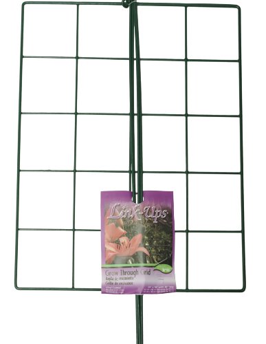 Luster Leaf (970) 24” x 18” Rectangle Grow Through Grid w/ 30” legs - style: Rectangle Grid