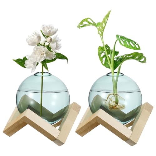 M METERXITY 2 Pack Glass Planter Terrarium with Wooden Stand, Desktop Plant Propagation Station Bulb Vase for Hydroponic Plants Propagation/Home Garden Decor/Plant Lover [Green] - color: Green