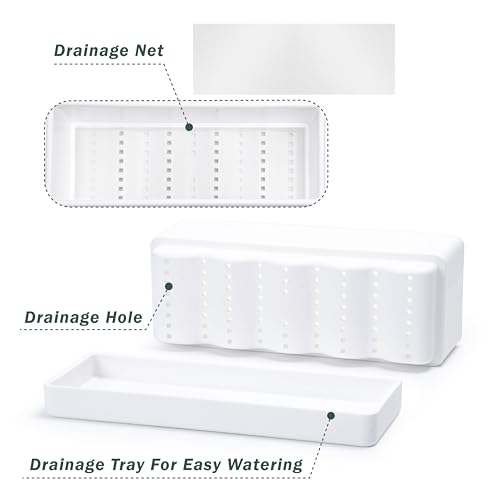 D'vine Dev Rectangular Planter, 12 x 4.5 in, White, Set of 1, 76-X-A-1 - color: White