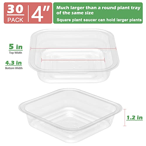 30 Pack Plant Saucers for Indoors 4 Inches Plant Trays for Pots Plastic Trays for Plants Square Plant Drip Trays for Potted Plants Flower Pot Saucers Clear Plant Plates to Catch Water, Bulk - size: 4 Inches