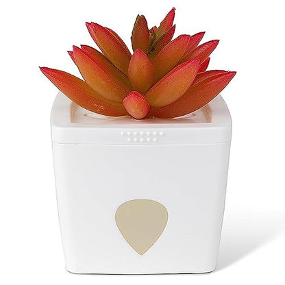 ZendoZones Succulent Fruit Fly Trap – Red Design with White Base – Eco-Friendly Indoor Fruit Fly Control – Easy-to-Use Decorative Trap - size: 1-Pack
