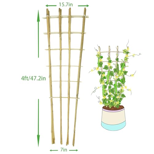 Natural BambooTrellis, 4Feet,3Pack,GUANGYE,Fan-Shaped Plant Support Trellis - style: 4Feet,3Pack
