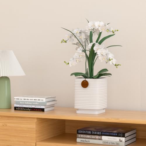 7.1 Inch White Ceramic Planter with Drainage and Saucer - color: Matte White, size: Large