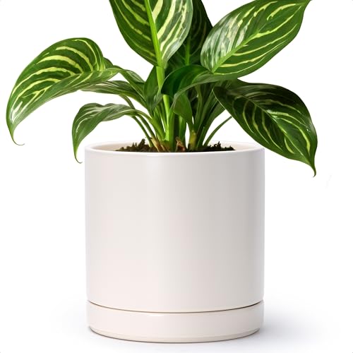 D'vine Dev 8.2 Inch Ceramic Planter Pot, Oatmeal, 94-O-D-8 - color: Oatmeal, size: Medium