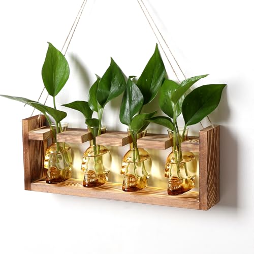 Plant Propagation Stations Halloween Skull Plant Terrarium Kit - color: Gold