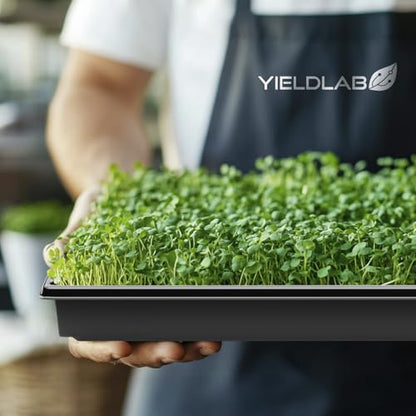 10x20 Inch Black Plastic 100 Pack Plant Propagation Tray No Holes - color: Black, size: 100-Pack