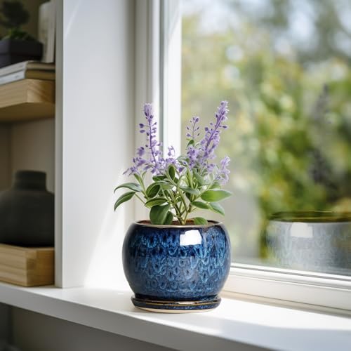 SQOWL 6 Inch Plant Pot - Ceramic Planter Pot with Drainage Hole and Saucer, Succulent Pot Round Flower Pot for Indoor Plants Outdoor, Blue - color: Blue, size: 6 Inch