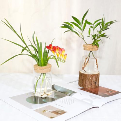 Separated Desktop Glass Flower Vases - Ideal Plants Propagation Stations for Living Room, Bedroom Decoration,Home Decor (2)