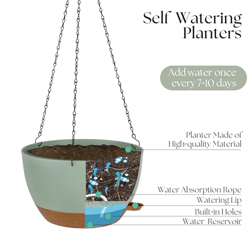 TYMENSH Hanging Plant Pots 12 Inch Set of 2, Self Watering, Drainage Holes, Removable Saucer, Durable Plastic with Chains, Indoor Outdoor, Green - color: Green
