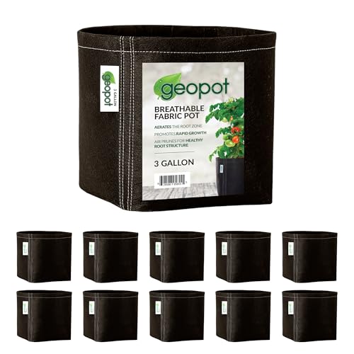 GeoPot 3 Gallon Fabric Grow Bags - 10 Pack - Black - Indoor/Outdoor - Aerated Fabric Pots for Vegetables, Herbs, Flowers & Houseplants - size: 3 Gallon (10-Pack), style: No Handles