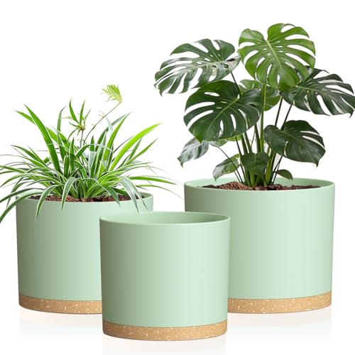 10/9/8 Inch Plant Pots 3 Pack, with Drainage Hole & Saucers - color: Matte Green&brown