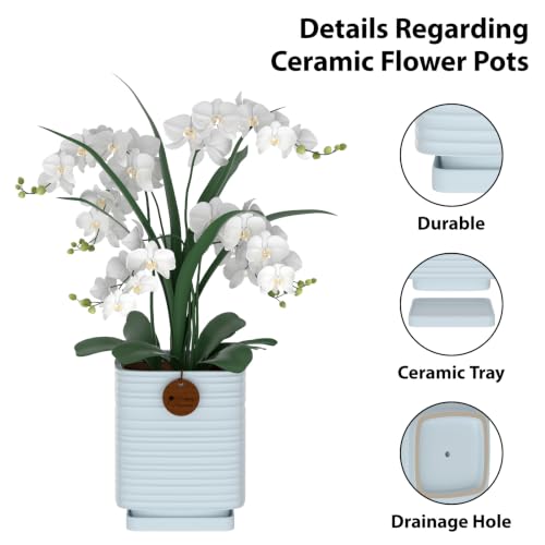 5.9 Inch Blue Ceramic Planter with Drainage and Saucer - color: Light Blue, size: Medium