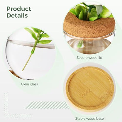 6PCS Plant Propagation Station, Desktop Plant Propagation Jars with Wood Lid and Stand, Glass Propagation Vases for Plant Growing, Hydroponic Home, Office Decor (6 Styles)