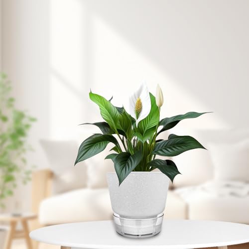 2024 Upgraded 5 Pack 6-Inch Self-Watering Planter Pots with Deep Reservoir for Indoor and Outdoor Plants with Planting Tools (Frosted White) - color: Frosted White