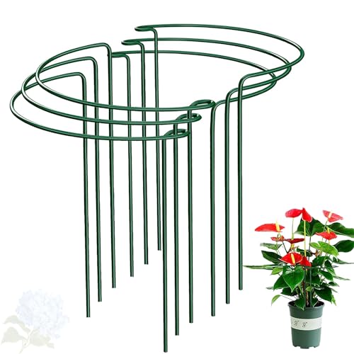 Half Round Snake Plant Support Stakes, Plant Ring for Peonies, Hydrangeas, ZZ, and More - Sturdy, Rust-Proof Plant Support Cages for Indoor and Outdoor Potted Plants (6 Pack, 14x8Inch) - size: 14x8in
