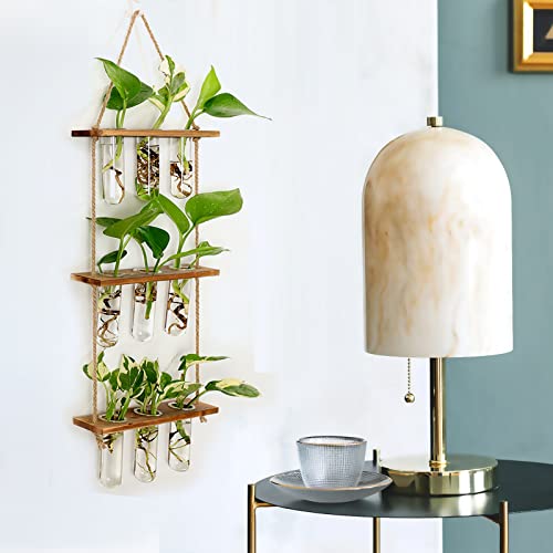 XXXFLOWER Wall Hanging Propagation Station 9 Tube Vases+2 Tiers Star Shaped Glass Flower Vase for Hydroponic Planter