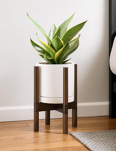 D'vine Dev Ceramic Pot with Walnut Wood Stand, Oatmeal, 8 in, 55-B-Y-8 - color: Oatmeal Pot + Walnut Color Stand, size: 8 Inch