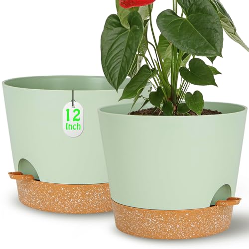 Self Watering Green Plastic Plant Pot Flower Planters with Drainage Hole And Deep Reservoir Large Planting Pots for for All Houseplants,Succulent, African Violets, Flowers and Cactus 12Inch/2pcs - color: Green, size: 12+12Inch