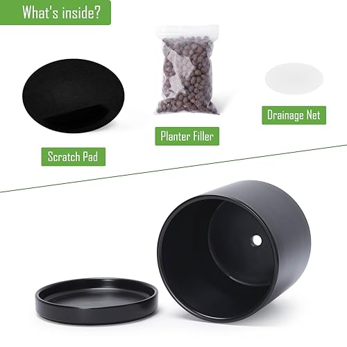 D'vine Dev 2-Pack Ceramic Pots with Saucers, 6/8 in, Black, 94-G-M-2 - color: Black, size: Medium