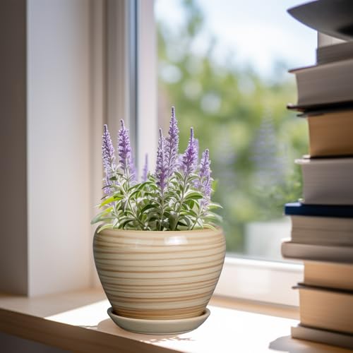 Ceramicfor 6 Inch Plant Pot Ceramic - Decorative Planter for Indoor Plants Succulent Pot with Drainage Hole and Saucer Round Planter Outdoor Flower Pot for House Patio Yellow - color: Yellow, size: 6 Inch