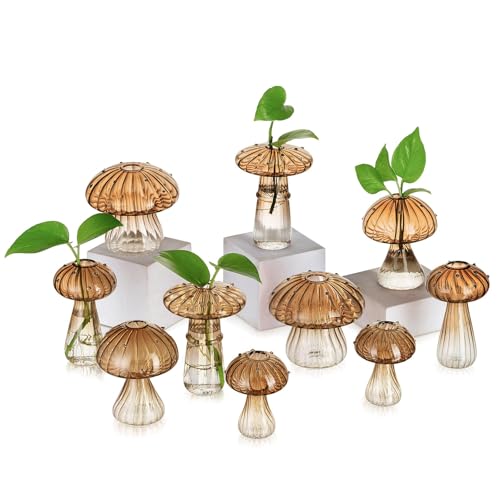Glasseam Mushroom Plant Propagation Station, 10 Pcs Glass Terrarium Jar - color: Amber, size: 10