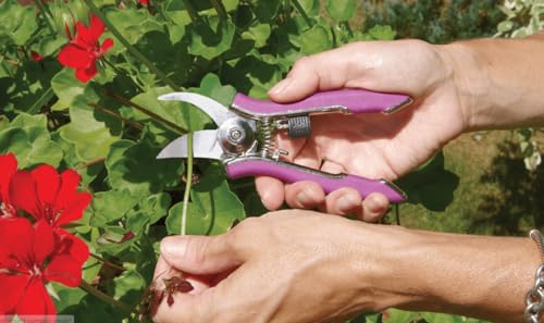Dramm ColorPoint Stainless Steel Compact Garden Pruning Shears, Hand Pruner, Garden Clippers, with Heavy Duty Blade and Easy grip Handle, Blue - color: Blue, style: Classic