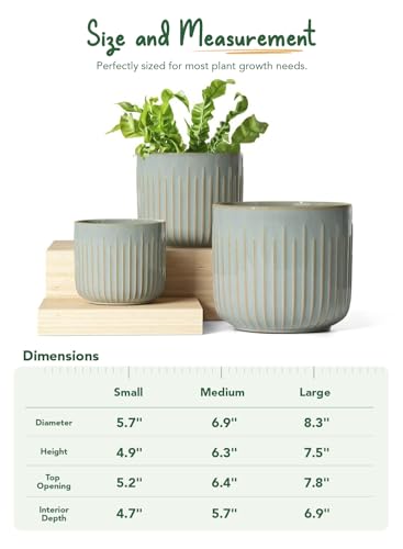 LE TAUCI Ceramic Pots for Plants, 8.3/7/6 Inch Indoor Planters with Drainage Holes & Mesh, Modern Glossy Glaze Cylinder Fluted Plant Pot for Snake Plant, Set of 3, Mist Gray - color: Mist Gray