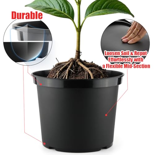 RooTrimmer 5 Gallon Nursery Pots 10-Pack, 12 Inch Plastic Planter with Drainage Holes – Round, Sturdy, Deep Design for Indoor/Outdoor Plants - size: 5Gallon-10P-Black