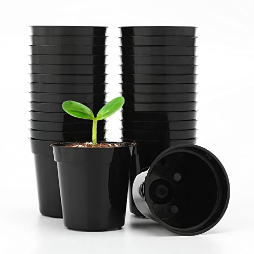 KINGLAKE GARDEN Small Black Plastic Pots,50 Packs 2 Inch Small Plant Pots - color: Black