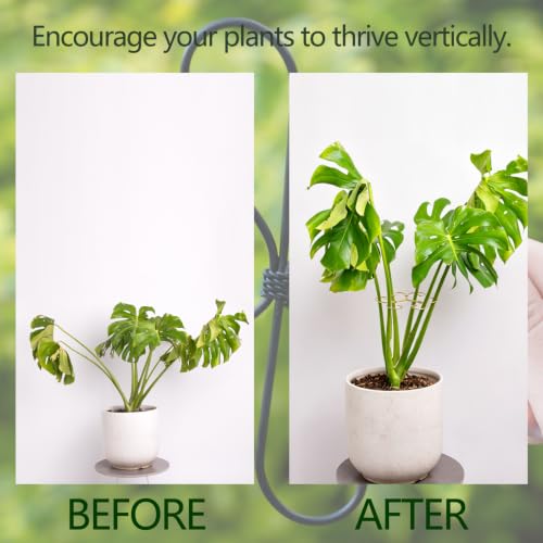 7.5" Plant Stem Support -Durable Stabilizer for Monstera & Indoor Plants - size: 7.5"