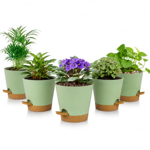 5 Pack 5 Inch African Violet Pots Self Watering, Self-Watering Planters with Drainage Holes & Reservoir, Green Brown Plastic Pots for Indoor Outdoor Plants, Succulents & Flowers - color: Green Brown, size: 5 inch 5 pcs