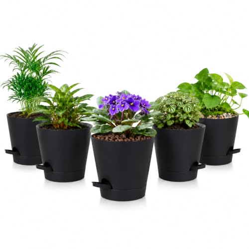 5 Pack 5 Inch African Violet Pots Self Watering, Self-Watering Planters with Drainage Holes & Reservoir, Black Plastic Pots for Indoor Outdoor Plants, Succulents & Flowers - color: Black, size: 5 inch 5 pcs