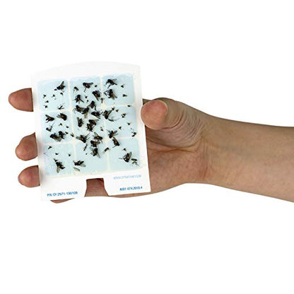 DynaTrap 23005-0612 DOT StickyTech Replacement Indoor Flying Insect Trap Glue Cards - 6 Pack