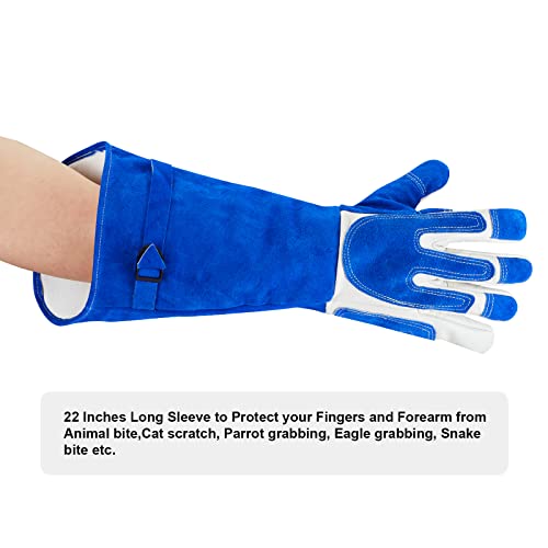 AOWPFVV Animal Handling Gloves Bite Proof for Dogs,Cats, 23.6in Large - color: Pet Grooming Gloves