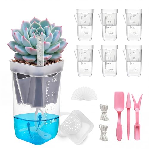 HITOSTAR 6 Pack 2 Inch Mini Clear Self Watering Pots for Indoor Plants, Small Plastic Planters with Drainage, Hydroponic Nursery Propagation Cups, for African Violet Alocasia Pot (2 Inch, 6 Pack) - size: 2 Inch