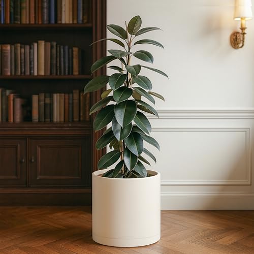 D'vine Dev Plastic Planter Pot with Saucer, 14 in, Oatmeal, 74-X-H-4 - color: Oatmeal, size: 14 Inch