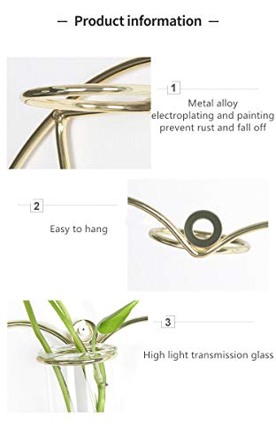 IvyMei Luxurious Nordic Gold Wall Vase Metal Frame Glass Tube - color: Gold 1