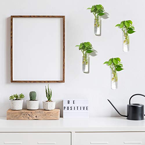 Vumdua 4 Pack Glass Planters, Clear, 5.9 in H x 1.85 in D, Suitable for Most Water Plants, Perfect for DIY Propagation Station, Easy to Install, Elegant and Functional