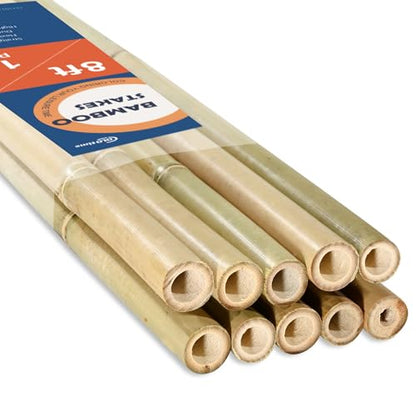 COLOtime 8FT Bamboo Stakes Plant Stakes 1in Thick Dia. Garden Poles 10 Pack - size: 8ft, 10 Pack