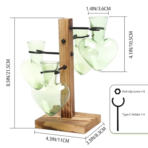 Plant Terrarium Propagation Stations with Wooden Stand - color: Green