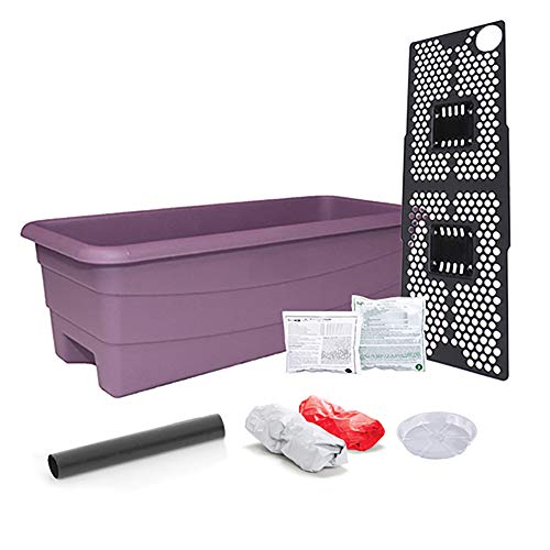 EarthBox 80606.01 Junior Garden Kit, Standard, Eggplant, Plastic, Indoor/Outdoor, 23"L x 9.5"W x 7.25"H - color: Eggplant, style: Standard