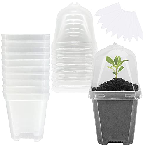 10 Pcs 3" Clear Plant Nursery Pot with Humidity Dome, Plastic Gardening Pot - color: 10pcs-white, size: 3 Inch