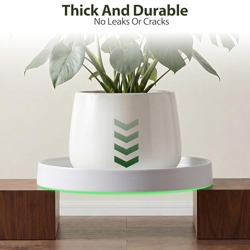 Ceramic Plant Saucer 6.5 Inch 2 Pack White, Fits Pot Base Under 6 Inch - size: 6.5in 2pack