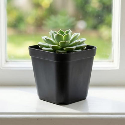 JEUIHAU 150 Packs 4 Inch Black Plastic Square Nursery Pots