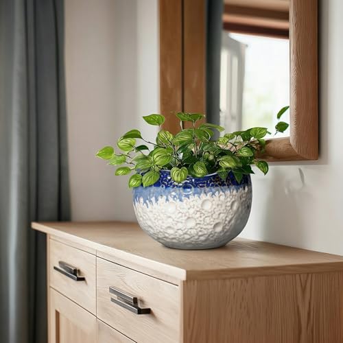 Ceramic Planter 8 Inch, Ceramic Plant Pots Indoor, Beige-Blue - color: Beige-blue, size: 8.2 Inch