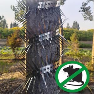 Anti-Climb Spikes for Raccoon & Bird Protection - Heavy-Duty Stainless Steel Barrier Nails for Fence, Roof, Trees | Outdoor Animal Climb Prevention (2PCS) - color: 2PCS