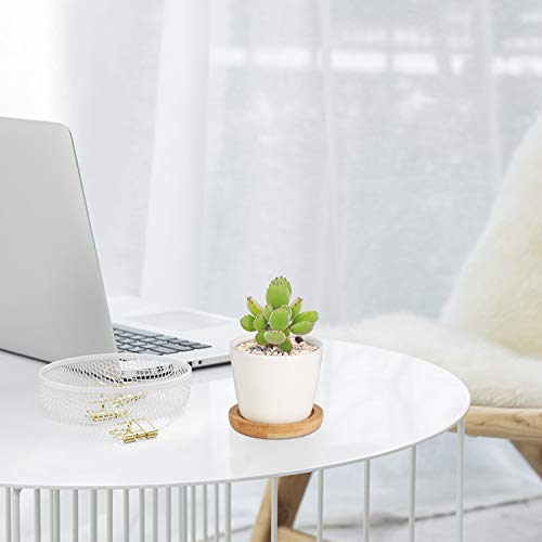 T4U 2.5 Inch Small White Succulent Planter Pots with Bamboo Tray Round Set of 4, Ceramic Succulent Air Plant Flower Pots Cactus Faux Plants Containers, White Modern Decor for Home and Office